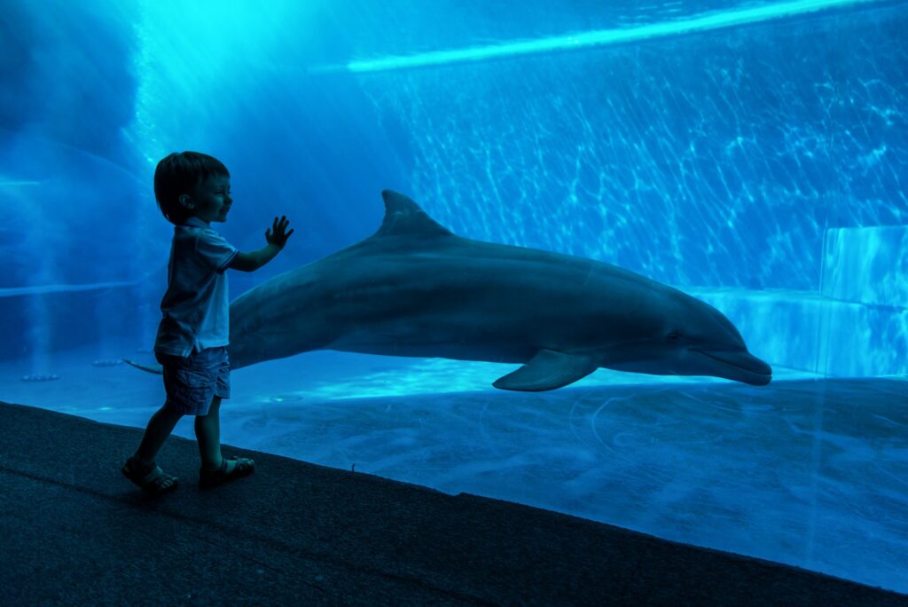 Zoos & Aquariums
